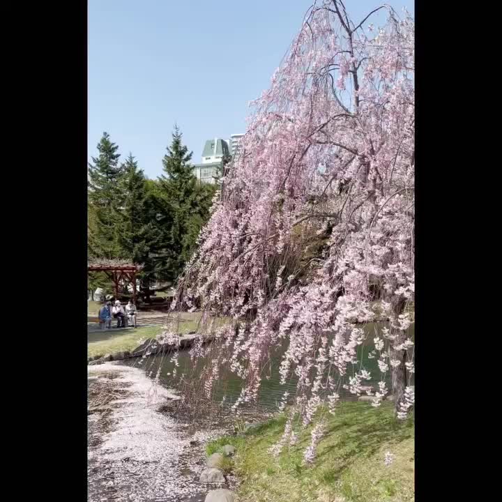 中島公園 | 去趣 chicTrip