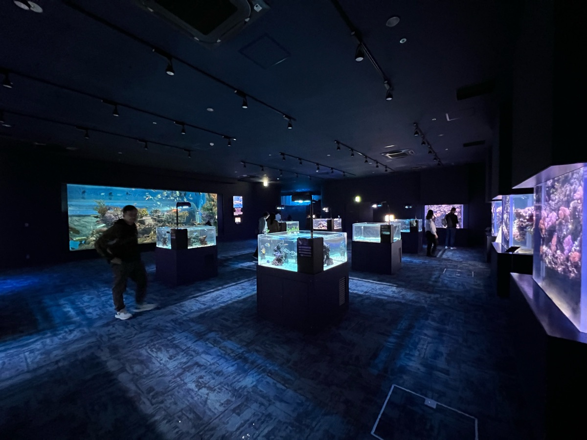 DMM Kariyushi水族館 | 去趣 chicTrip