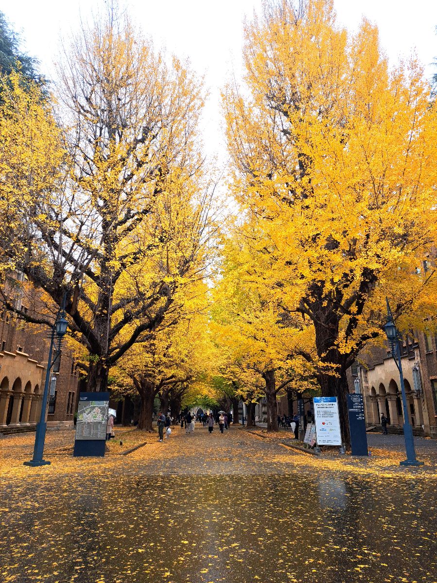 東京大學 | 去趣 chicTrip