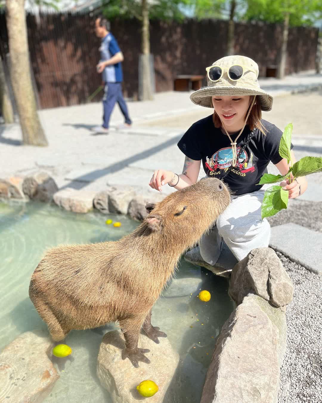 張美阿嬤農場（月森甯手作工坊） | 去趣 chicTrip