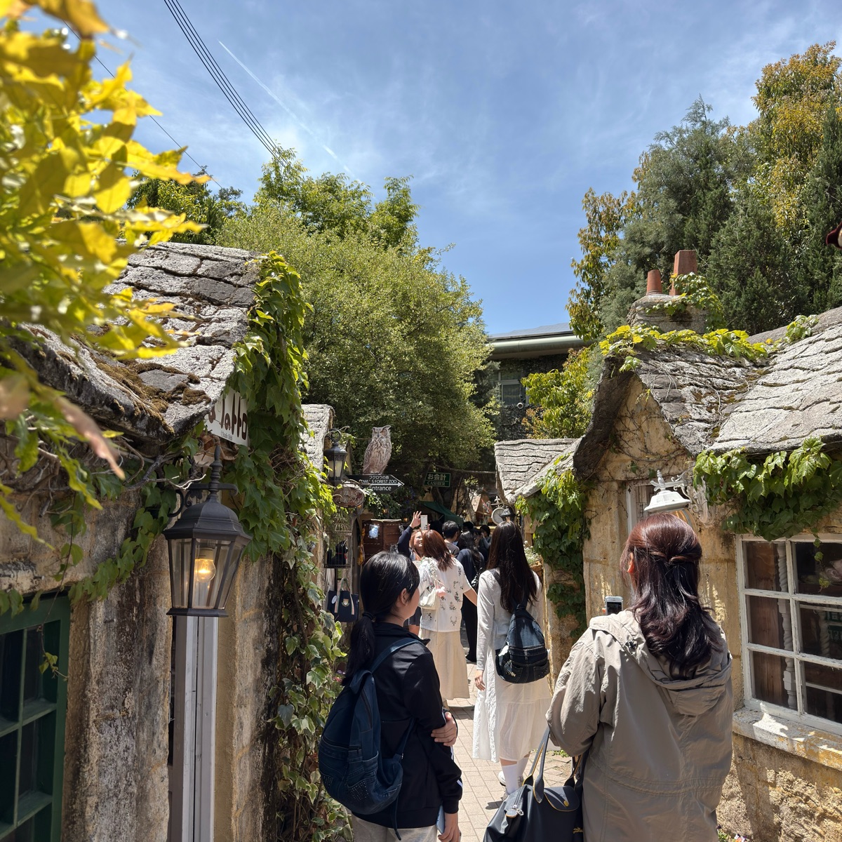 湯布院花卉村 | 去趣 chicTrip