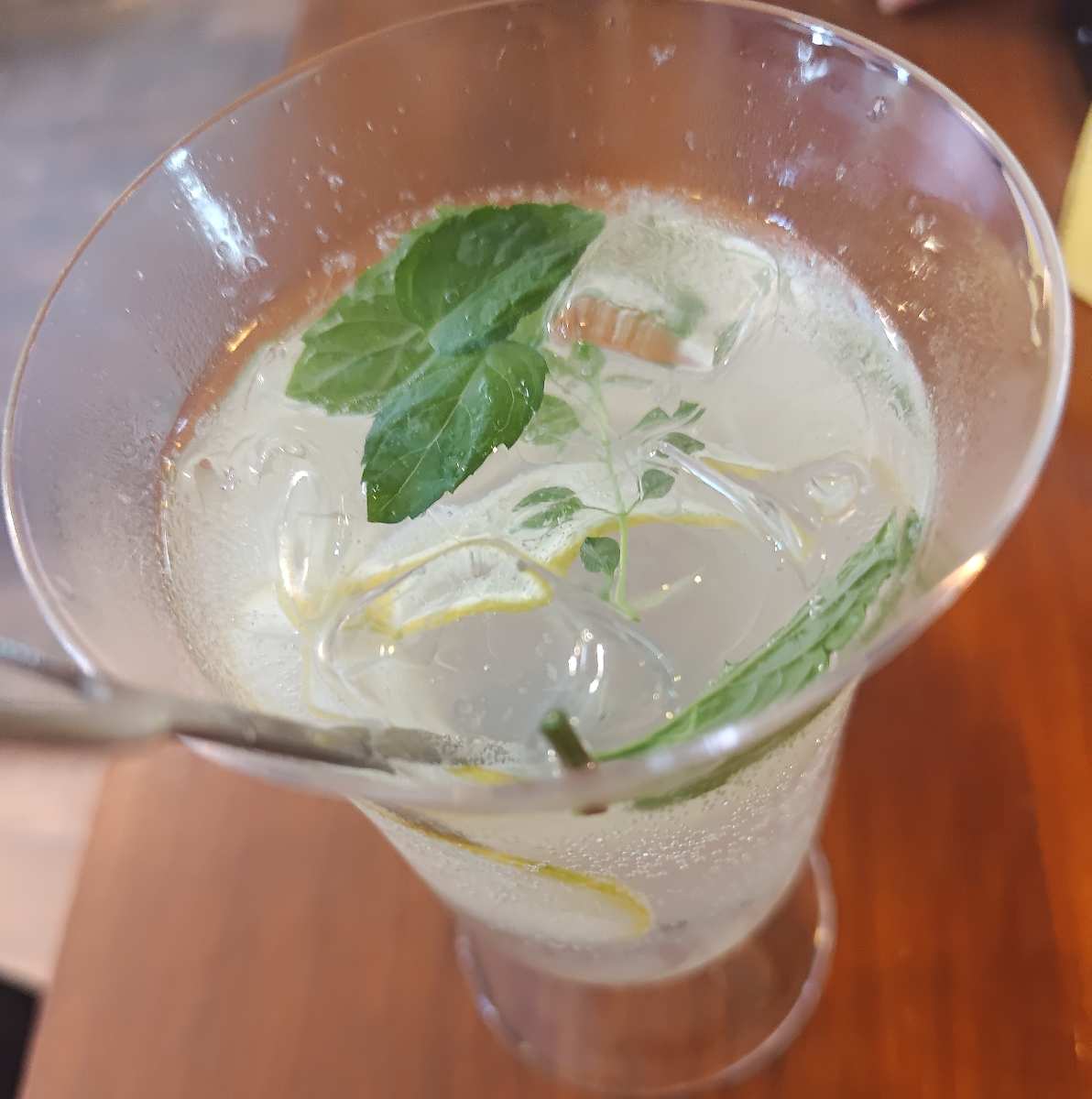 海島咖啡館｜貓咪咖啡館｜寵物友善 | 去趣 chicTrip