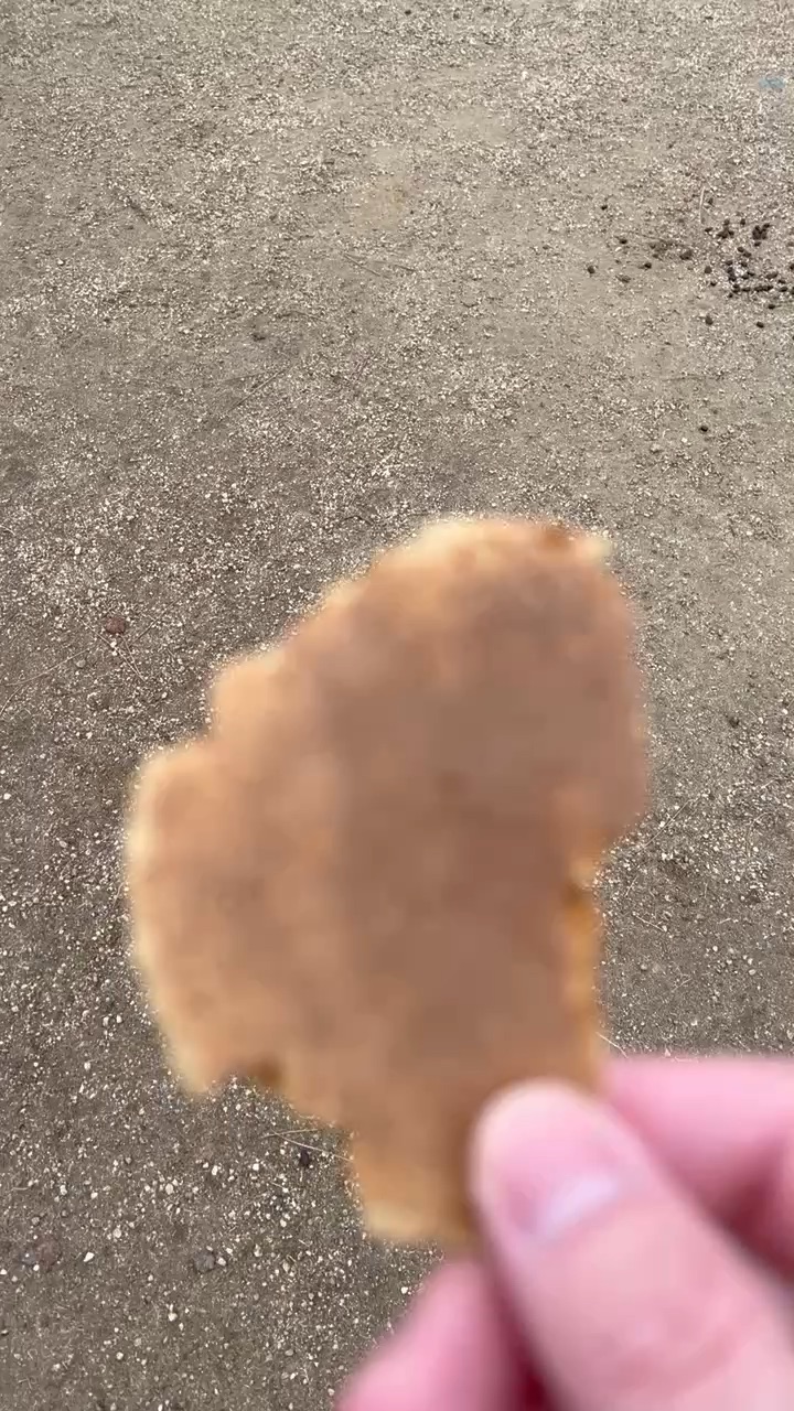 Tōdai-ji 東大寺 | 去趣 chicTrip