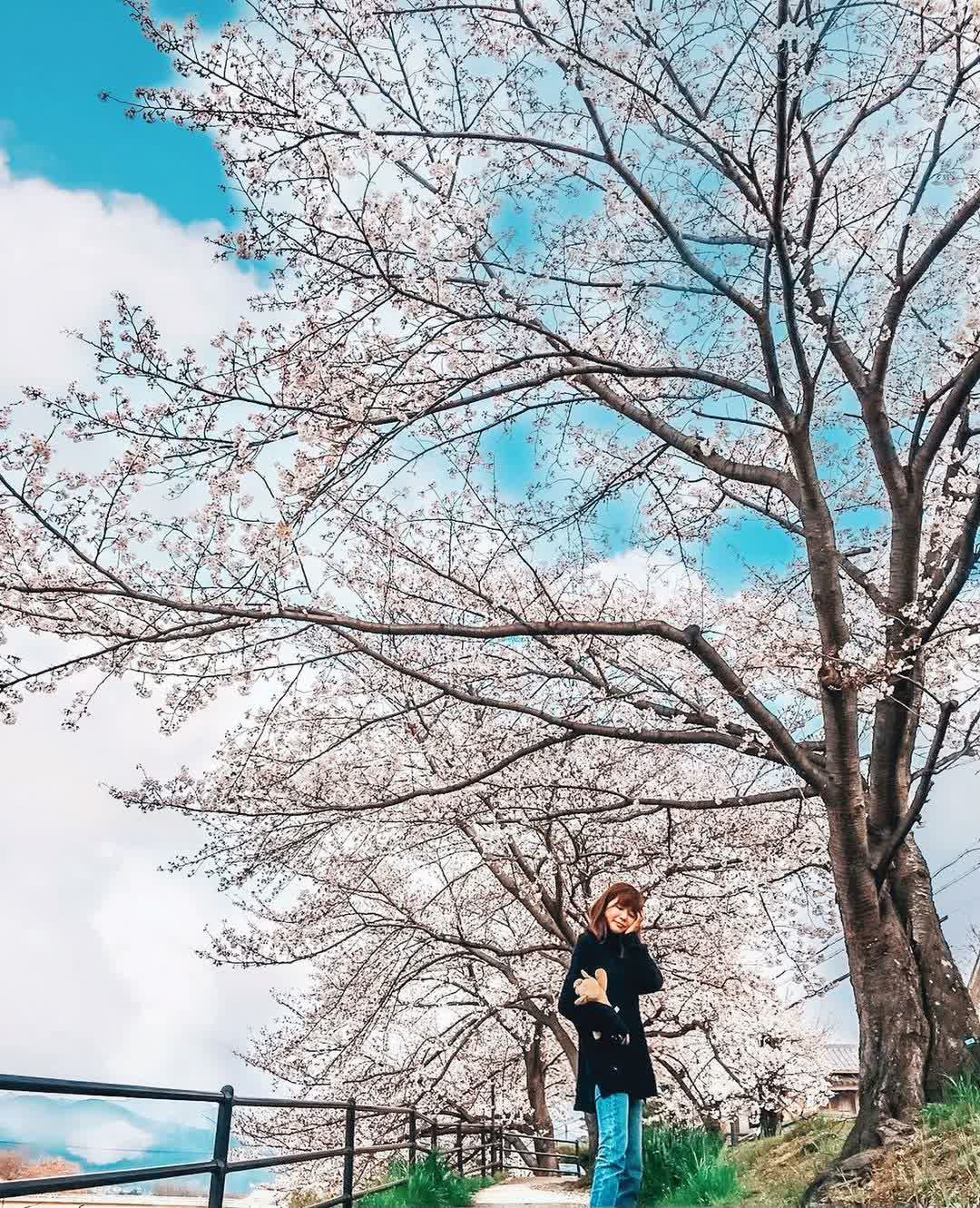 鴨川 | 去趣 chicTrip