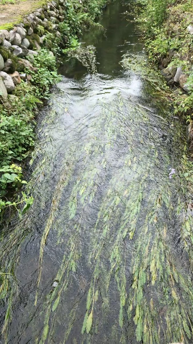 林田山林業文化園區 | 去趣 chicTrip