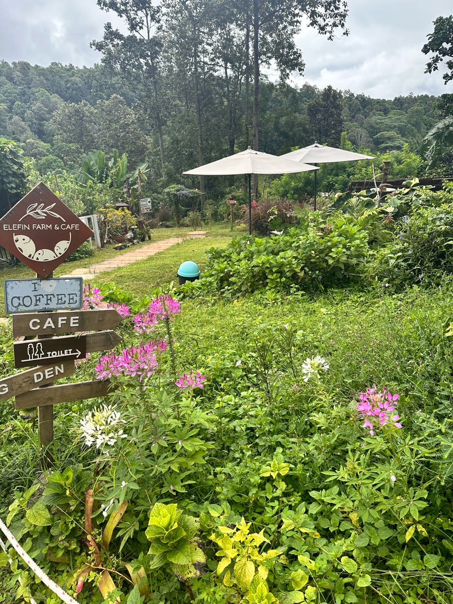 Elefin Farm & Cafe | 去趣 chicTrip