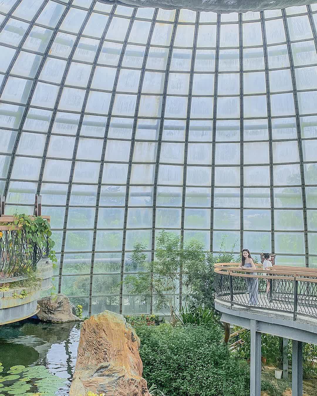 嘉大昆蟲館 | 去趣 chicTrip