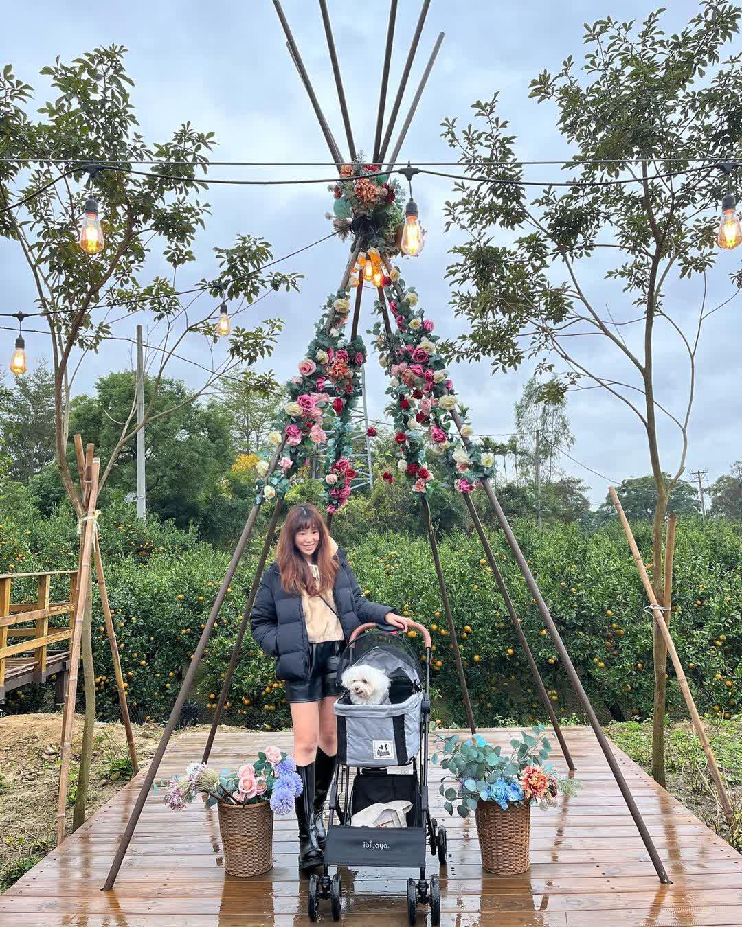 橙香森林 | 去趣 chicTrip