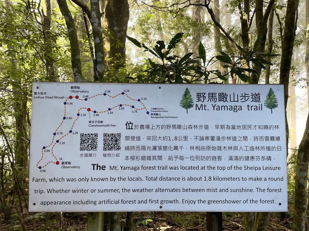 野馬瞰山 | 去趣 chicTrip