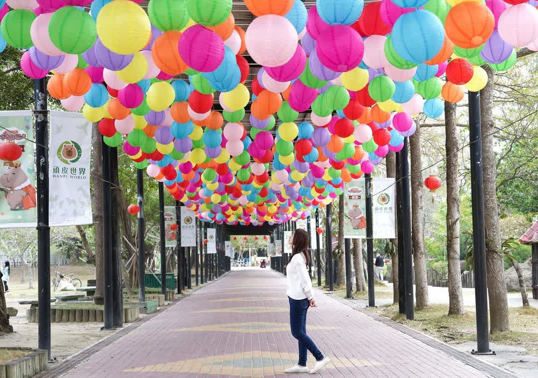 頑皮世界野生動物園 | 去趣 chicTrip