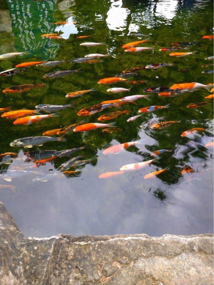 蜜蜂故事館 Honey Museum | 去趣 chicTrip