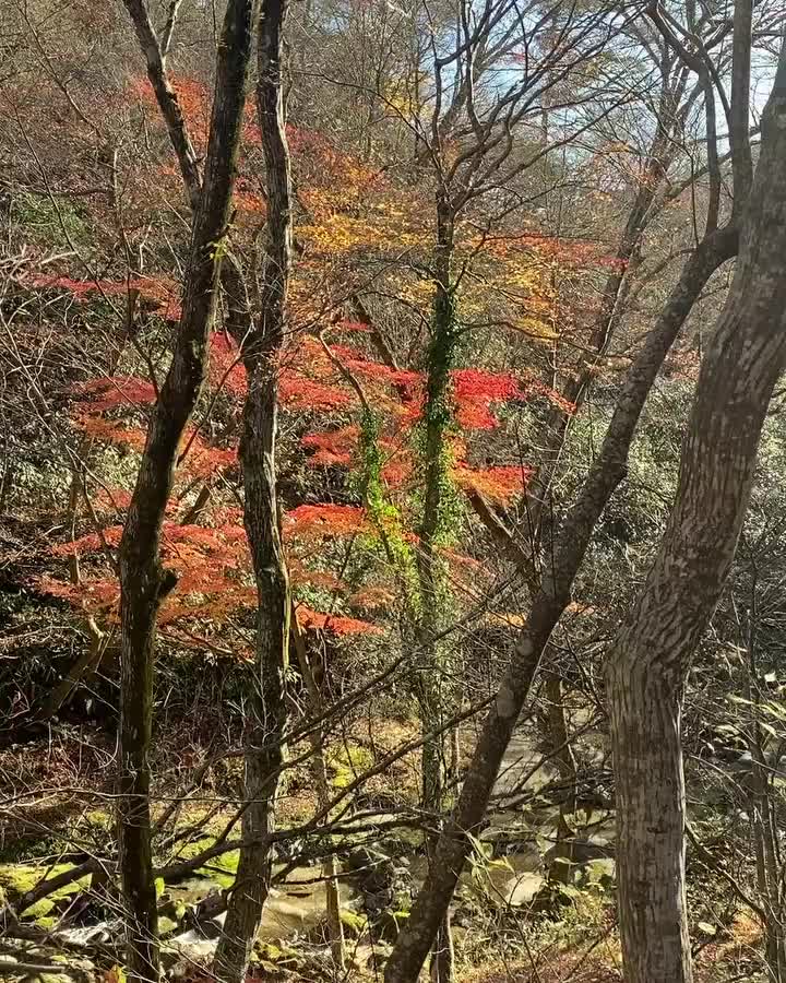 花貫溪谷 | 去趣 chicTrip