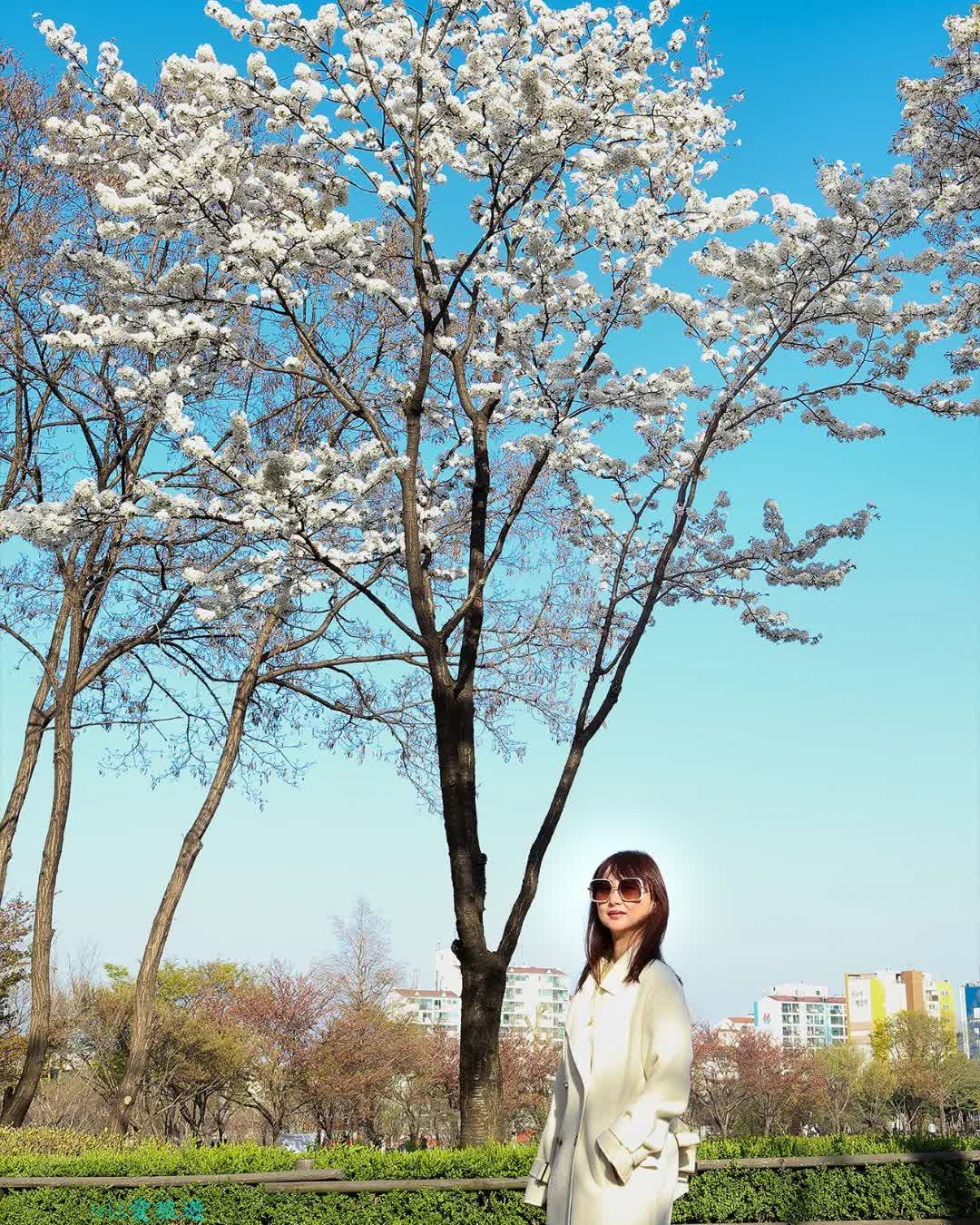 西首爾湖公園 | 去趣 chicTrip