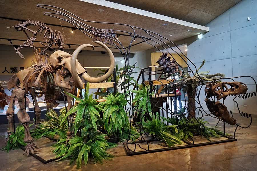 臺南左鎮化石園區(16:00截止售票、17:00閉館) | 去趣 chicTrip