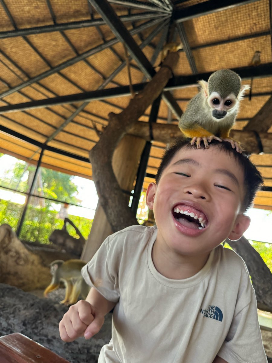 Sriayuthaya Lion Park | 去趣 chicTrip