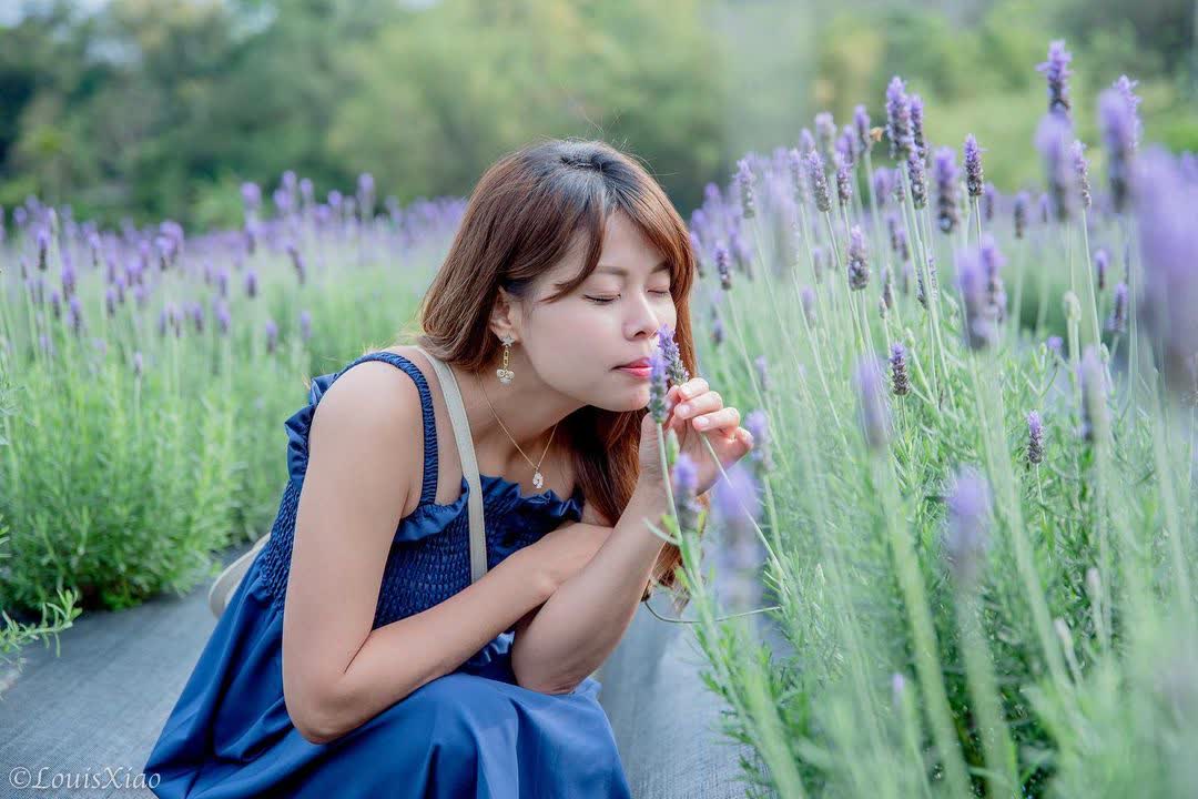 葛瑞絲香草田 | 去趣 chicTrip