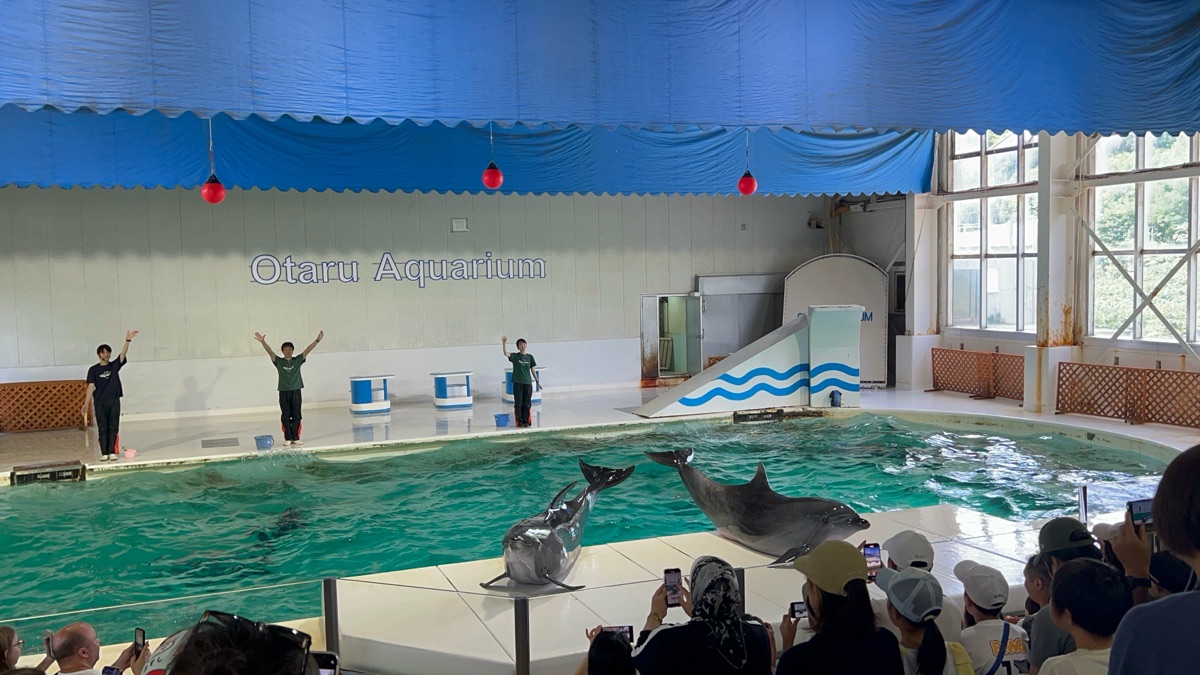 小樽水族館 | 去趣 chicTrip