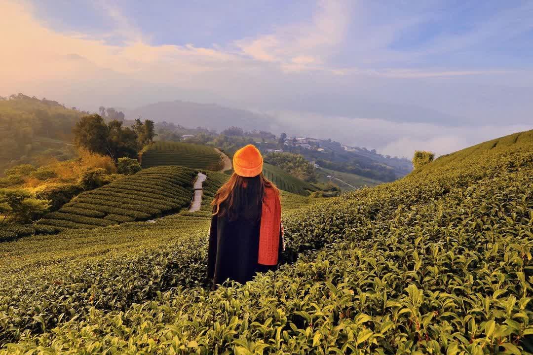 一三一四觀景台 | 去趣 chicTrip