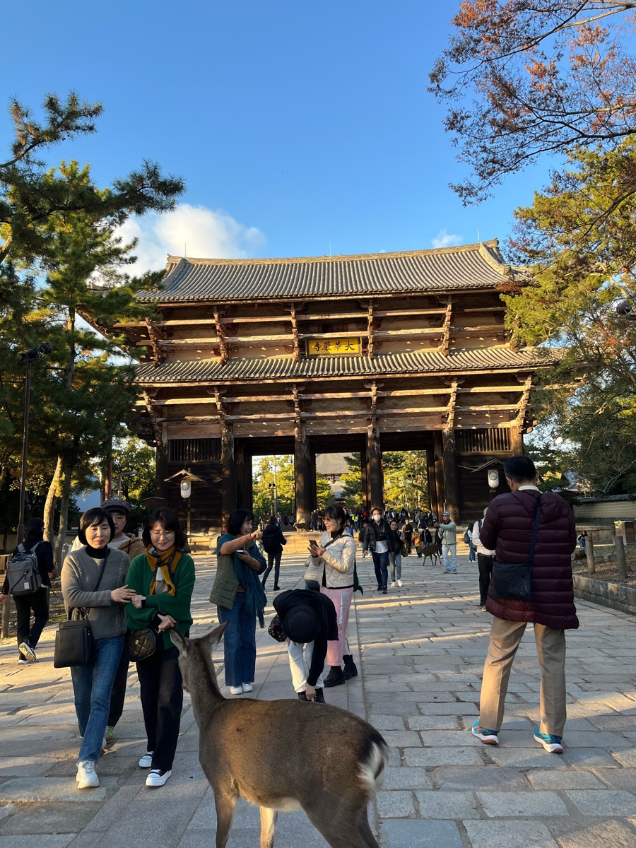 東大寺 南大門 | 去趣 chicTrip