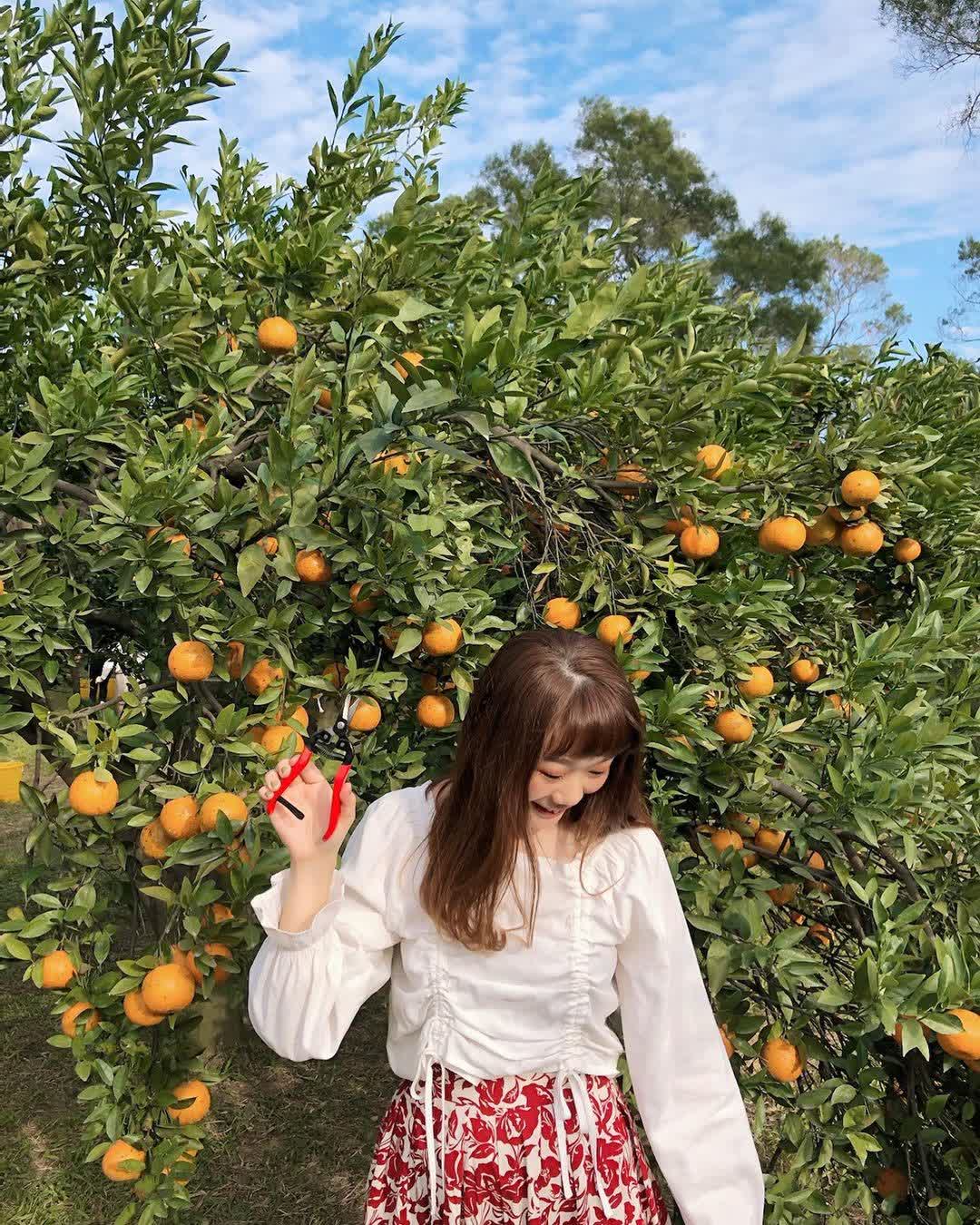 橙香森林 | 去趣 chicTrip