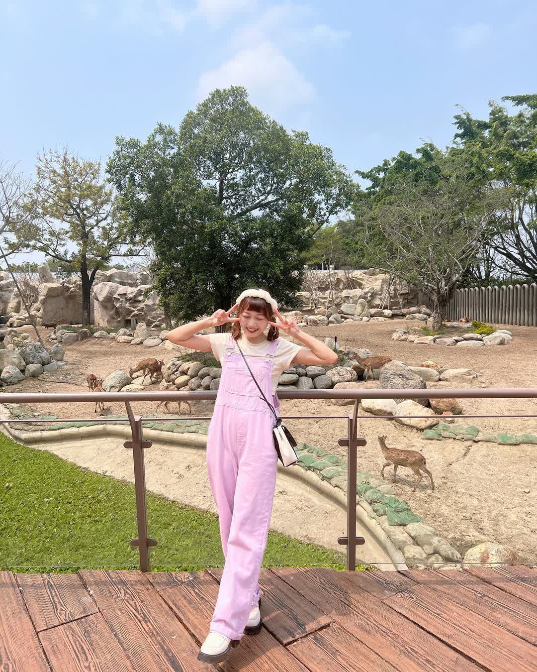 頑皮世界野生動物園 | 去趣 chicTrip