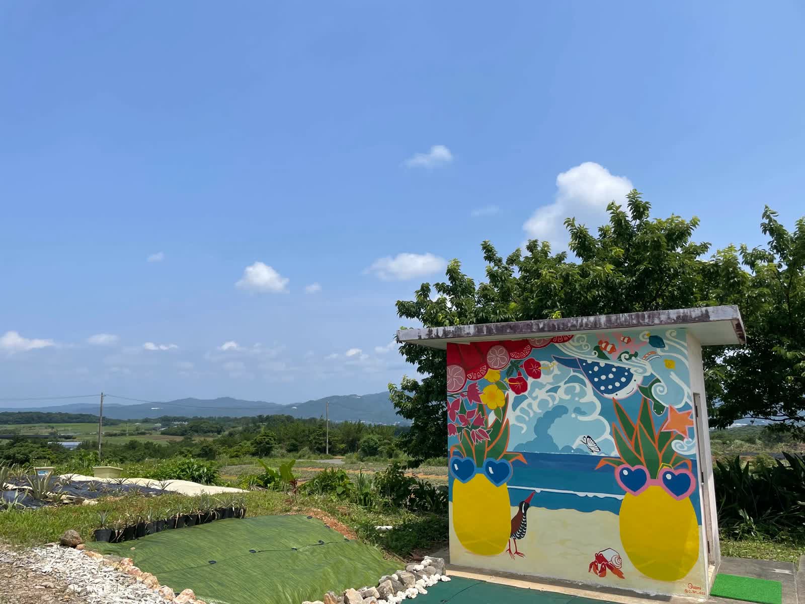 たくし農園 ちゅらふる パイナップル直売所 | 去趣 chicTrip