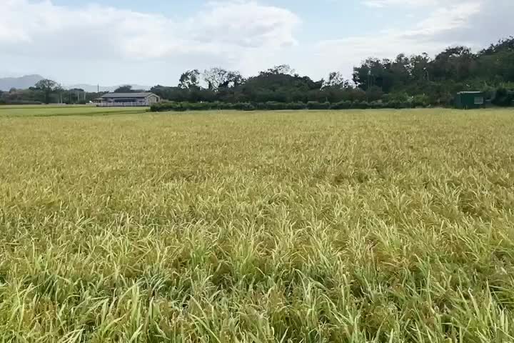 池上 | 去趣 chicTrip