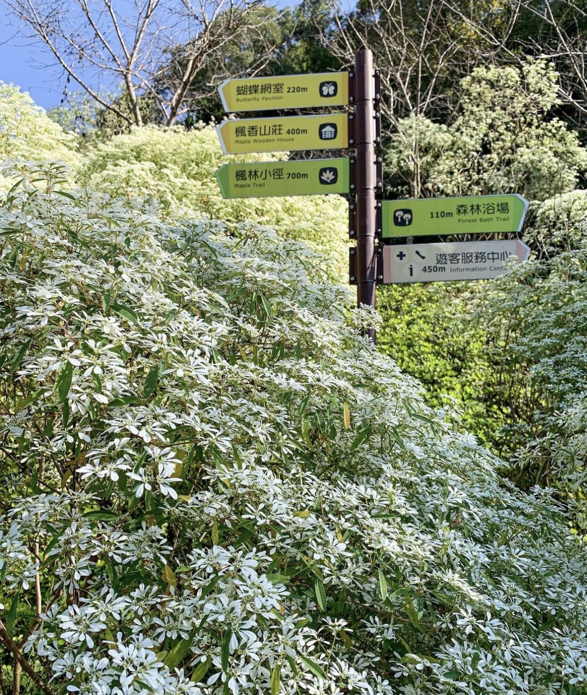 東勢林場遊樂區 | 去趣 chicTrip