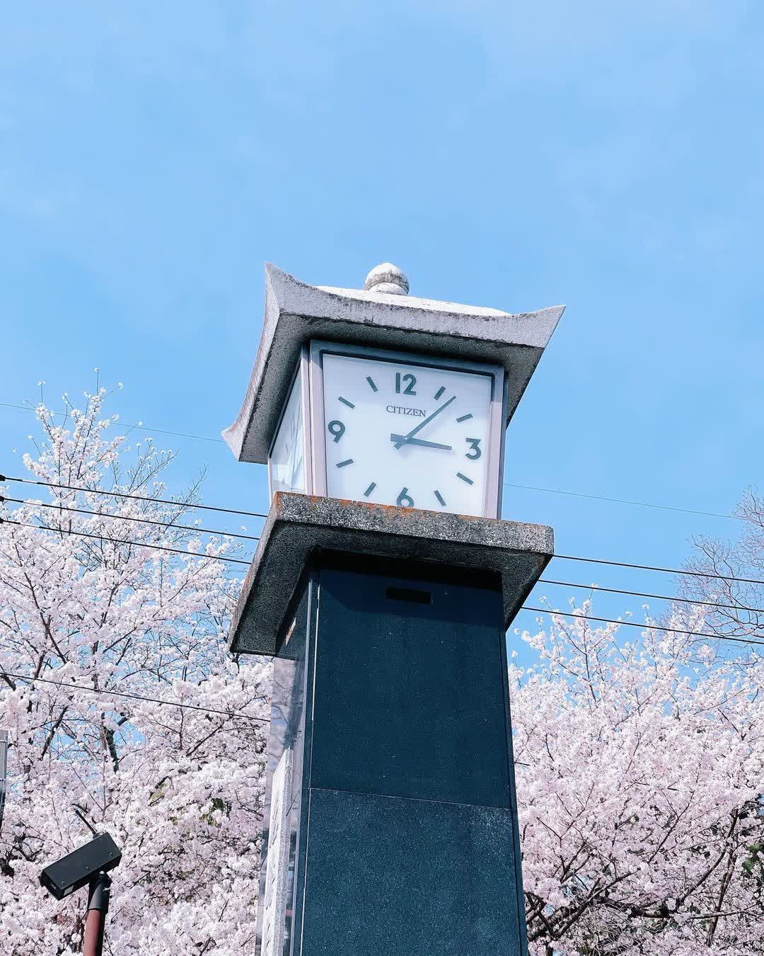 奈良公園 | 去趣 chicTrip