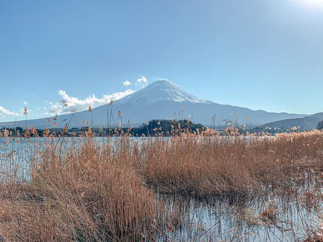 河口湖 | 去趣 chicTrip