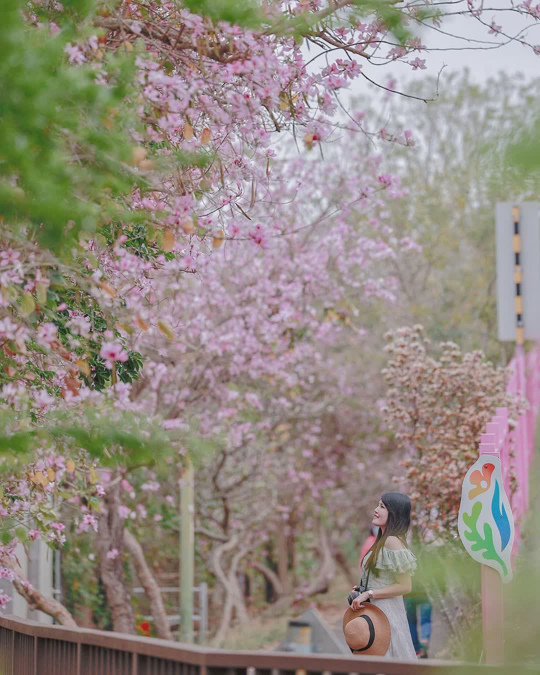 潭雅神綠園道 | 去趣 chicTrip