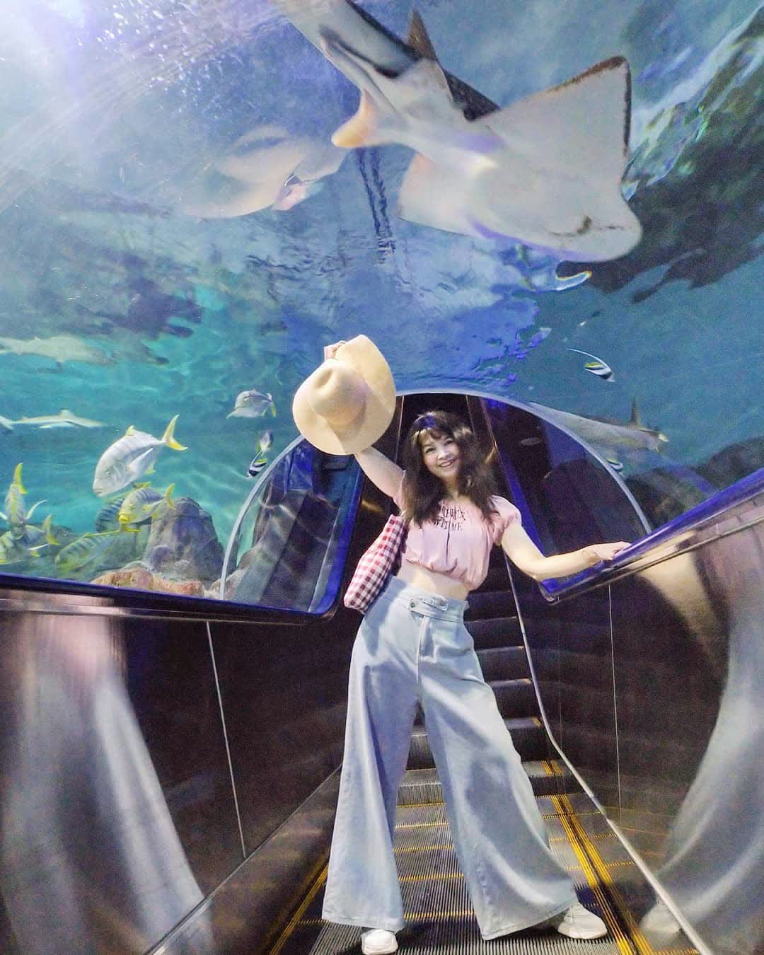 遠雄海洋公園 | 去趣 chicTrip