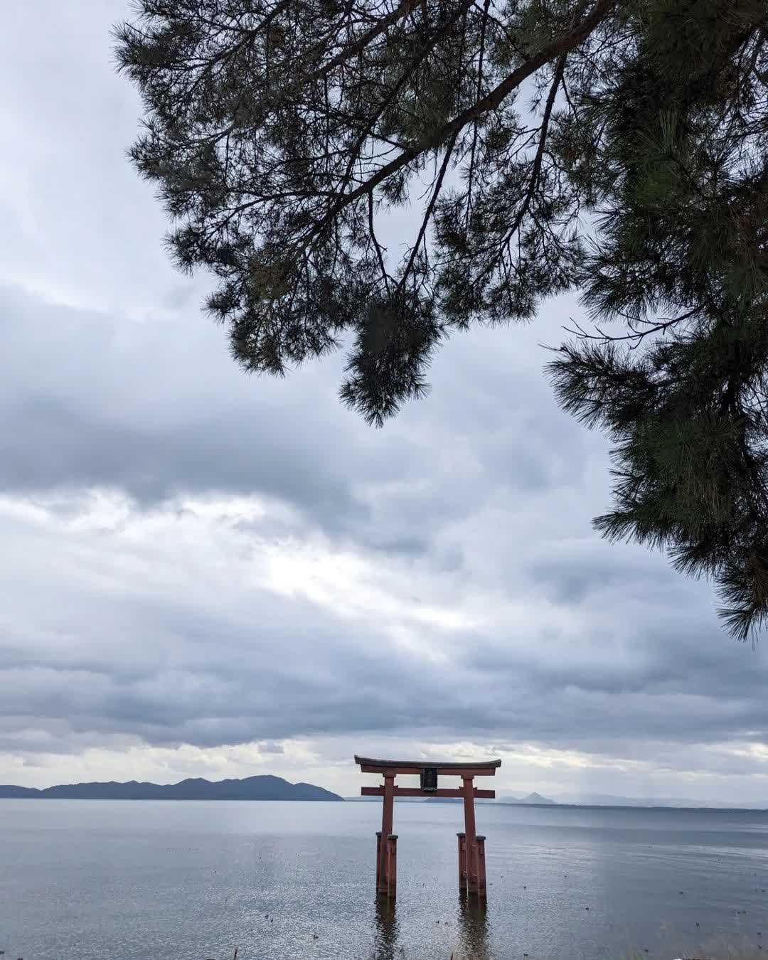 琵琶湖湖中鳥居（白鬚神社） | 去趣 chicTrip