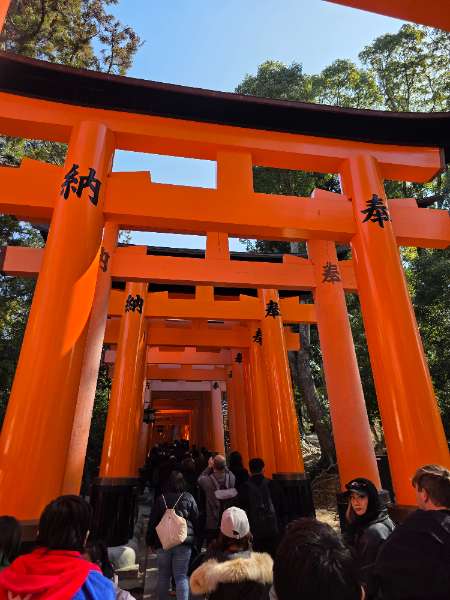 伏見稻荷大社 | 去趣 chicTrip