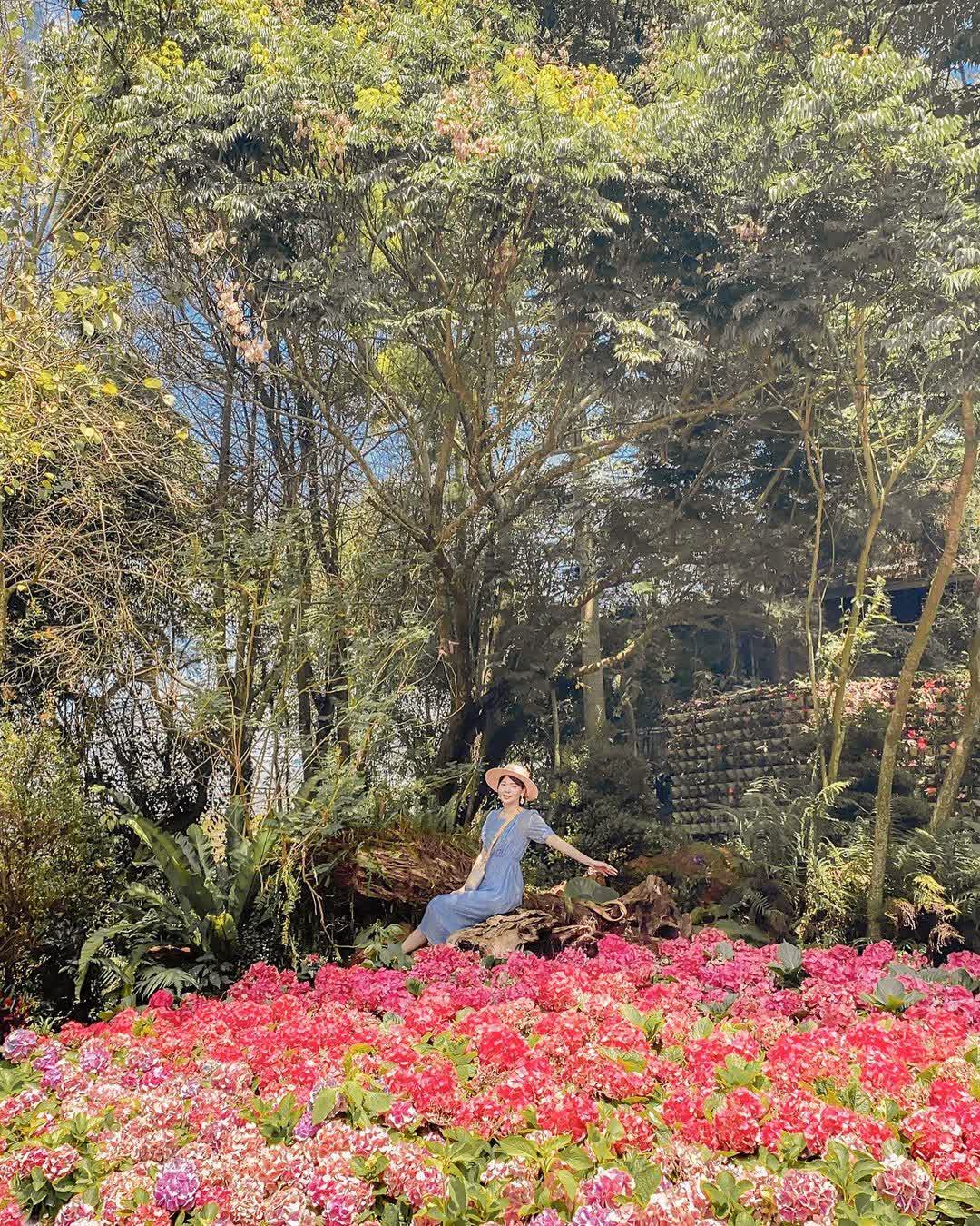 花露農場 Flower Home | 去趣 chicTrip