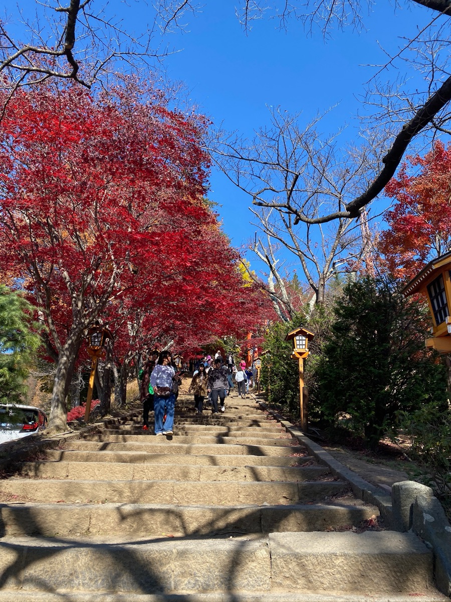 新倉富士淺間神社 | 去趣 chicTrip