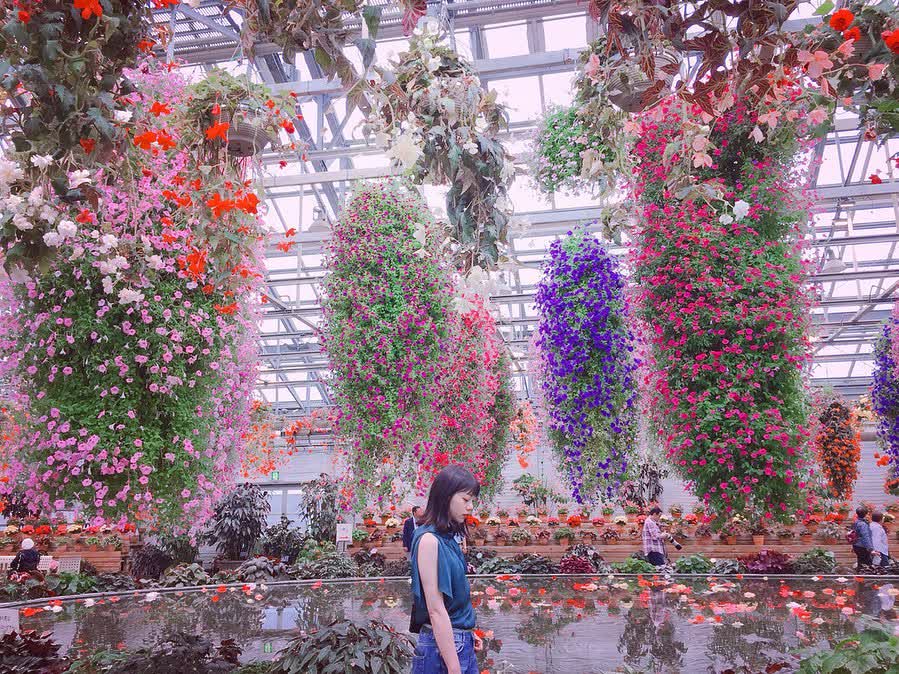 名花之里 | 去趣 chicTrip
