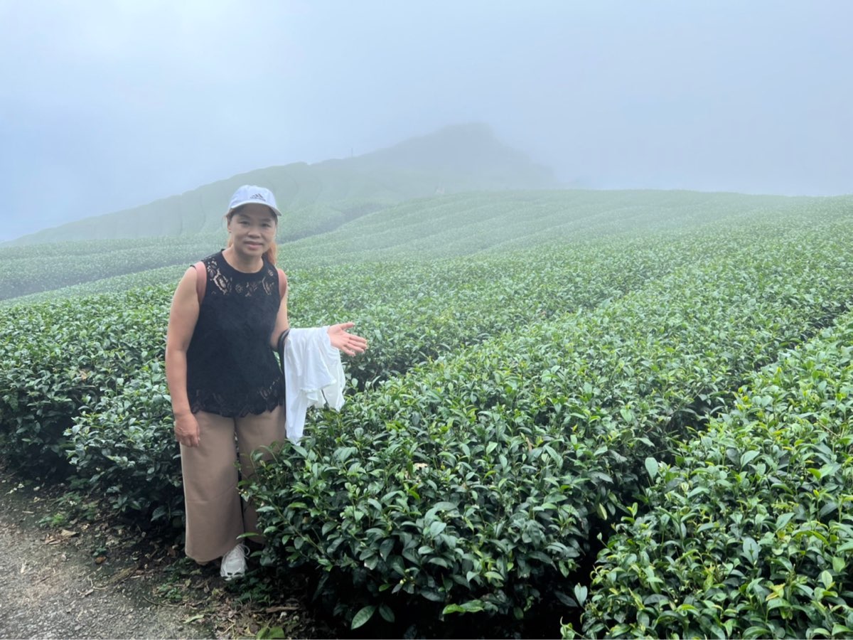 二延平步道 | 去趣 chicTrip