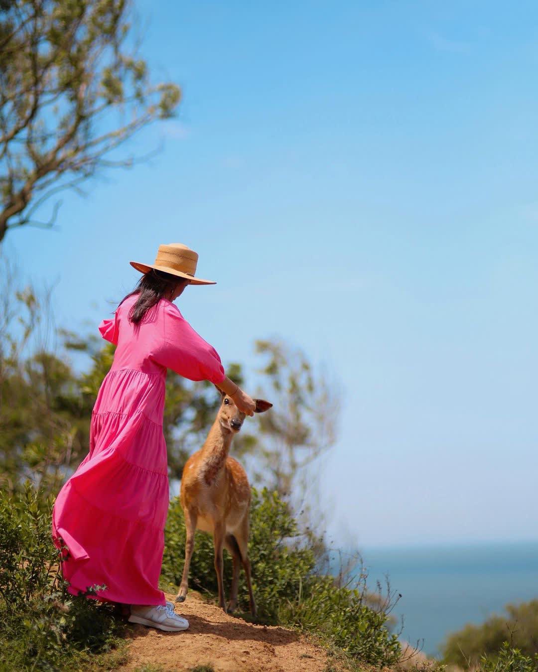 大坵島 | 去趣 chicTrip