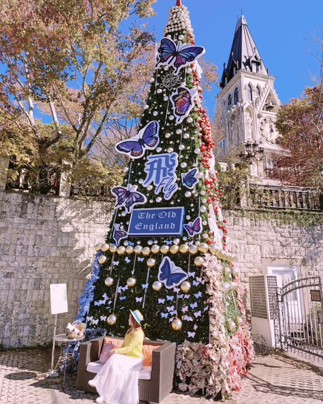 清境老英格蘭莊園民宿｜清境農場｜清境住宿推薦 | 去趣 chicTrip