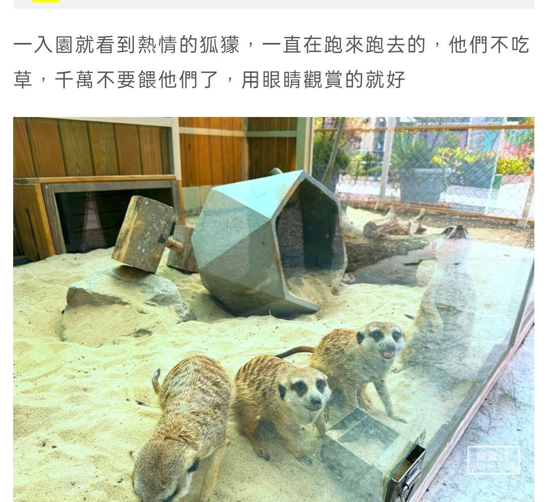 星夢森林劇場 | 去趣 chicTrip