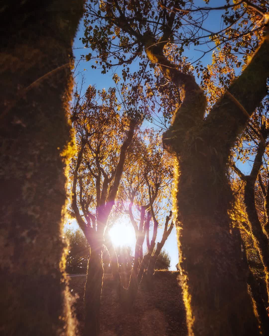 小笠原山觀景台 | 去趣 chicTrip