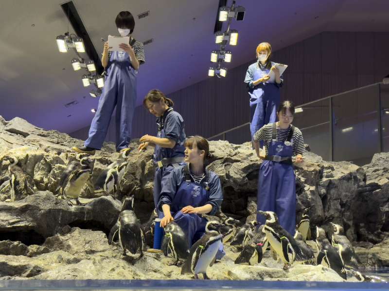 墨田水族館 | 去趣 chicTrip