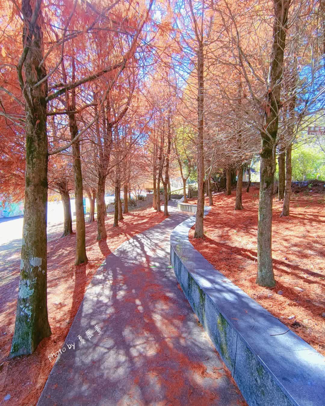 清境農場國民賓館 | 去趣 chicTrip