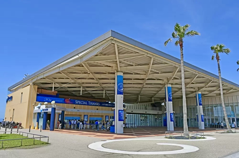 新江之島水族館 | 去趣 chicTrip