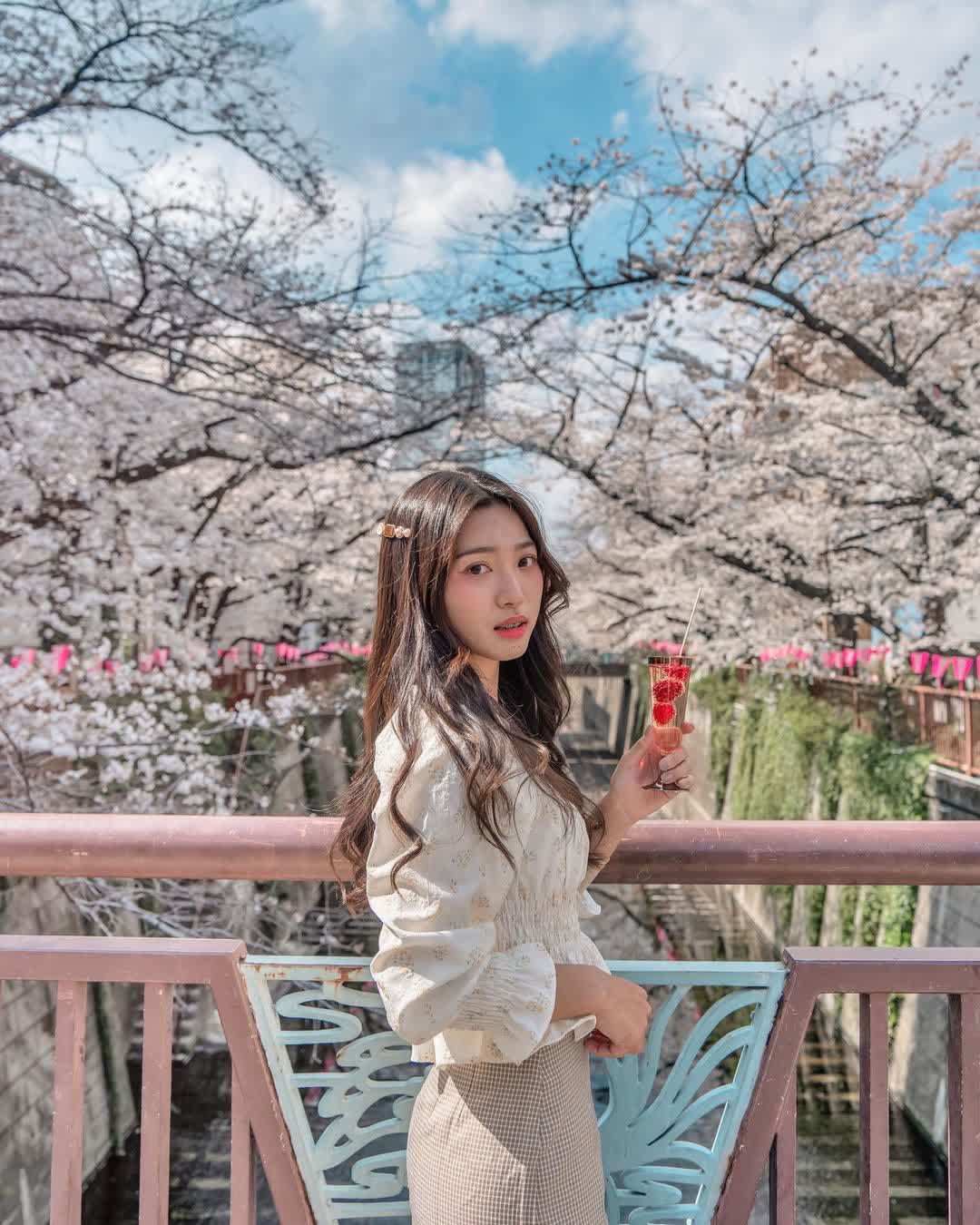 Sakura Bridge | 去趣 chicTrip