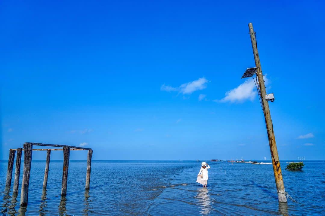 芳苑濕地紅樹林海空步道 | 去趣 chicTrip