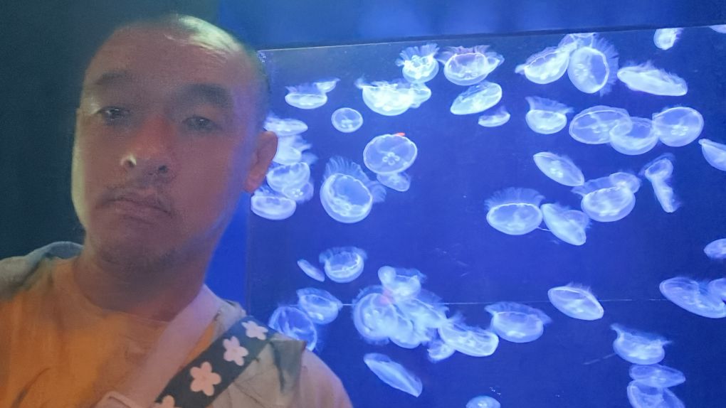 沖繩美麗海水族館 | 去趣 chicTrip