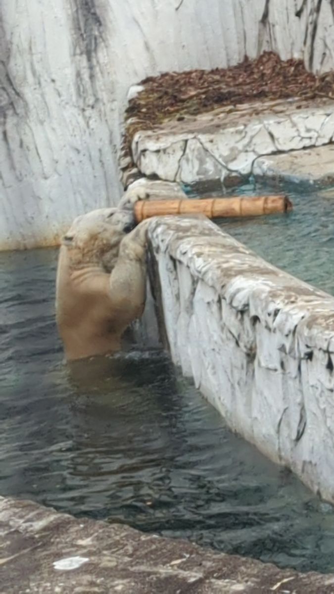 東山動植物園 | 去趣 chicTrip