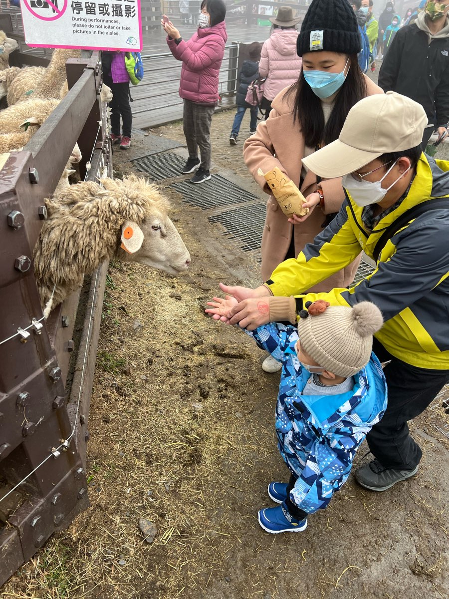 清境農場觀山牧區 | 去趣 chicTrip